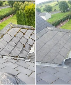 roof-cleaning
