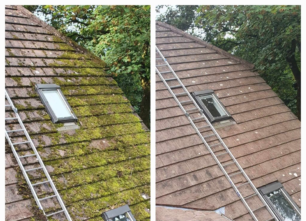 Roof Cleaning