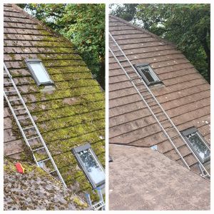 Moss Removal Cleaning Clare & Limerick